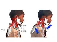 【姿勢と呼吸と、お口のはなし】関係ない様ですっごく関係深い関係性