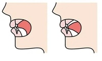 自分の無意識を意識して観察して見て。舌はいつもとこのポジションにいてますか？